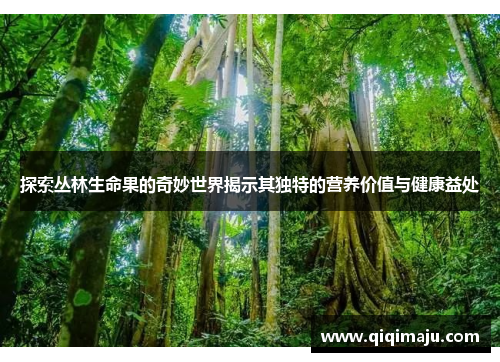 探索丛林生命果的奇妙世界揭示其独特的营养价值与健康益处